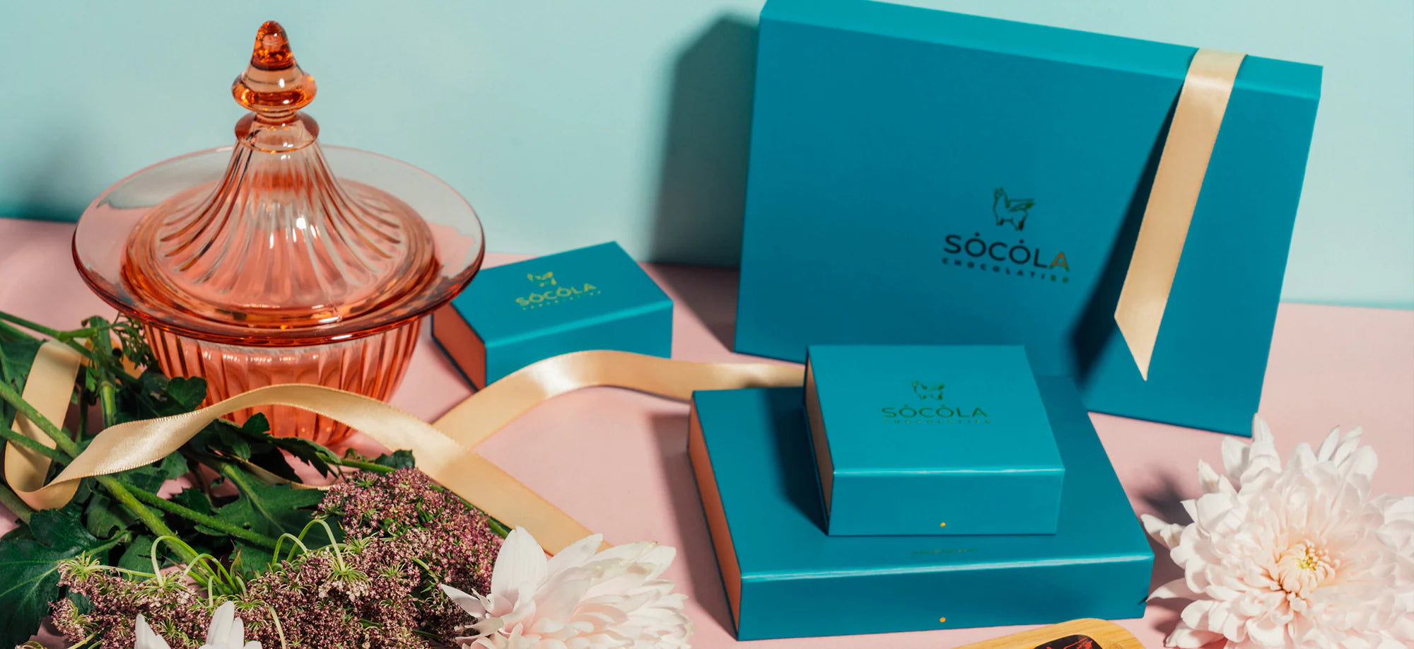 Assorted Socola corporate chocolate gift packaging